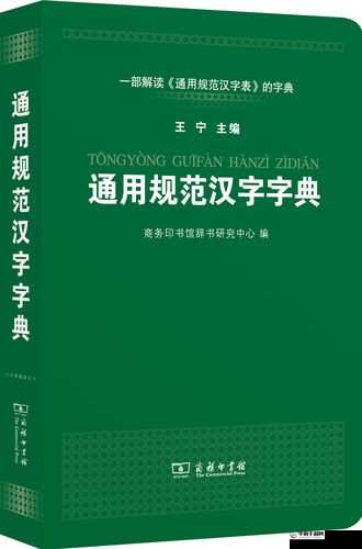 2019 中文字需大全规范：实用指南