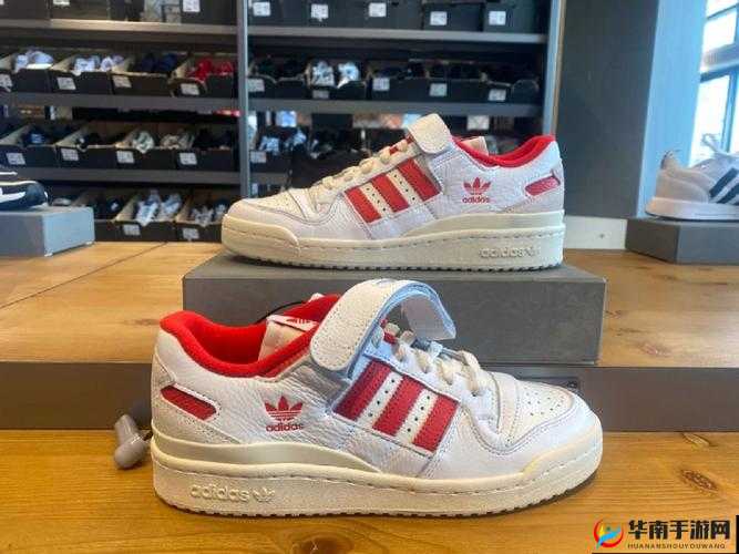 三叶草 gy8566 的独特魅力