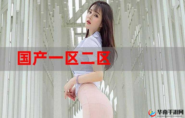 国产一区二区：内容与风格的差异