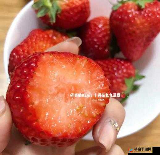 蜜丝婷大草莓 VS 小草莓：不同魅力对比