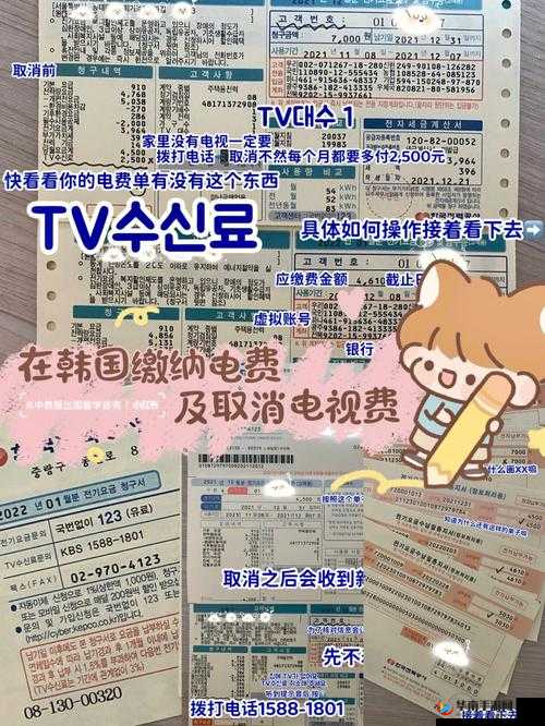 韩国三色电费 202：解析其背后的意义与影响