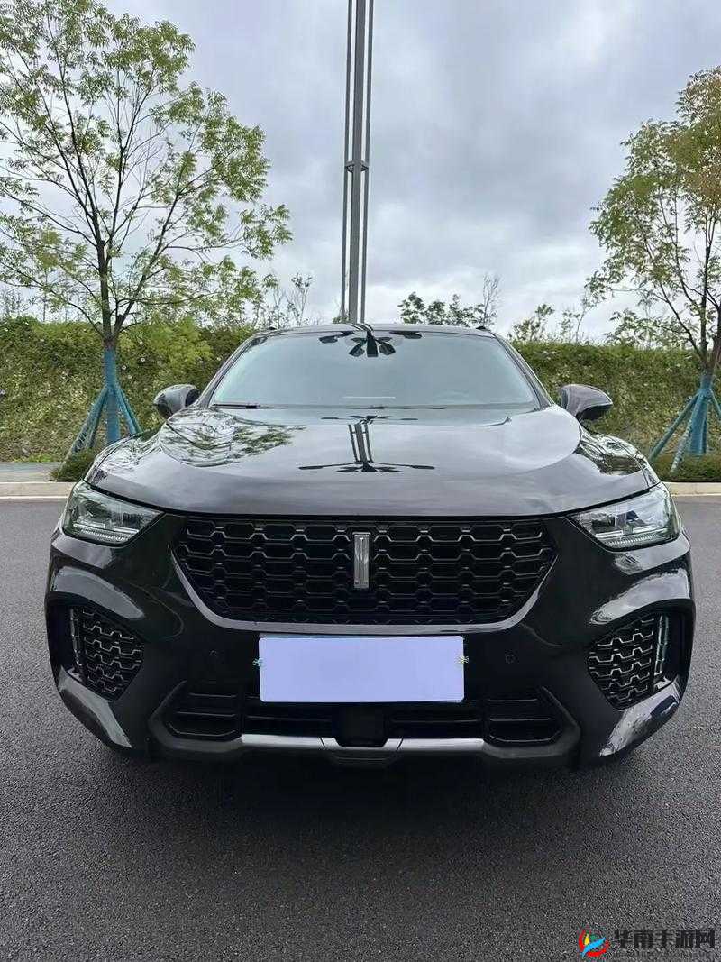 国产豪华 SUV：WEY VV5 巅峰对决，一触即发