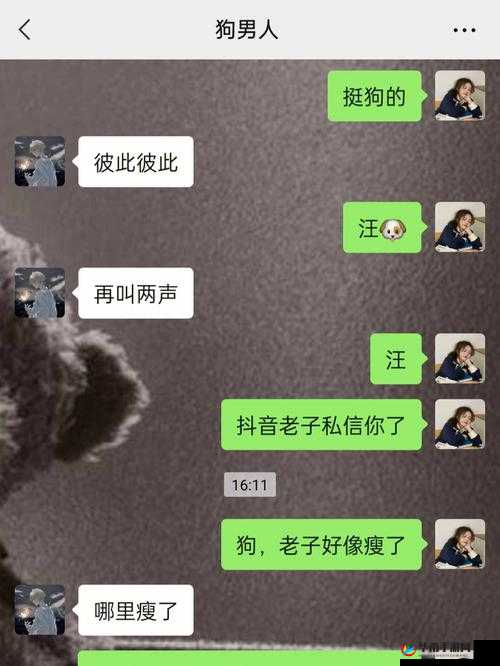 婆婆和我的狗老公怎么相处：和谐共处的方法