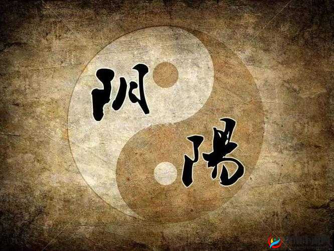母与子的阴阳调和：爱与平衡的探索