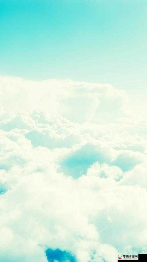 禁漫天：守护纯净的天空