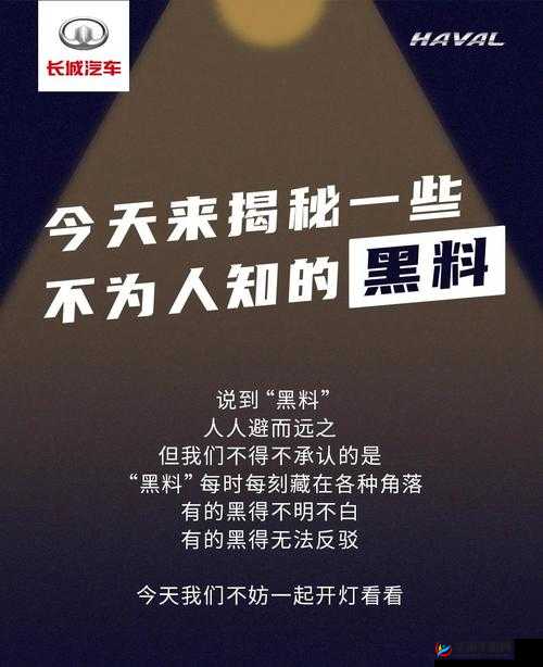 黑料正能量爆料：揭秘不为人知的故事