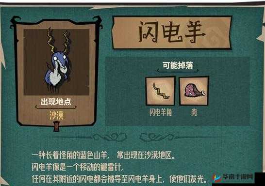 闪电羊绝迹：饥荒中的生态危机与对策