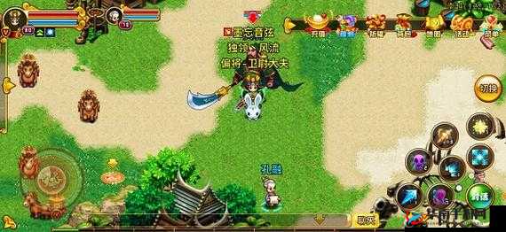 新明珠三国9星鉴定秘籍：高手必知技巧解析