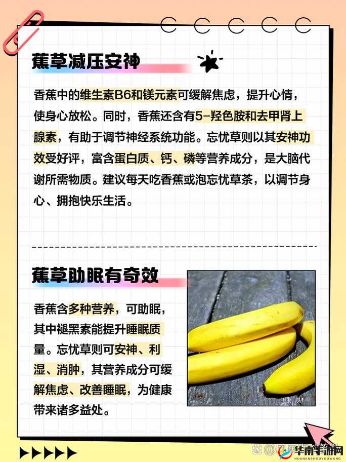 香蕉忘忧草对焦虑的影响：二者作用解析