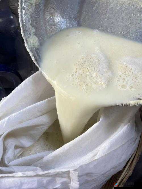 自制豆浆难题解：如何解决豆渣问题