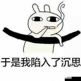 看镜子里的接合处，我陷入了沉思