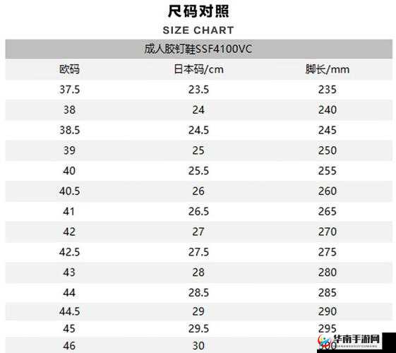 欧洲码日本码专线：优质码数的专业选择