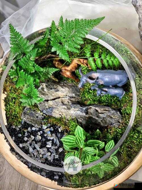 老牛嫩草一二三产品有何区别