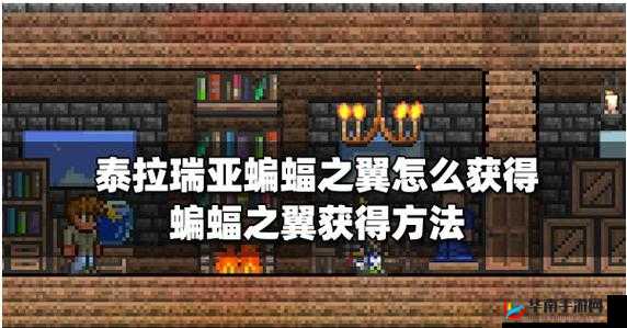 泰拉瑞亚蝙蝠之翼获取途径览：如何获得蝙蝠之翼？