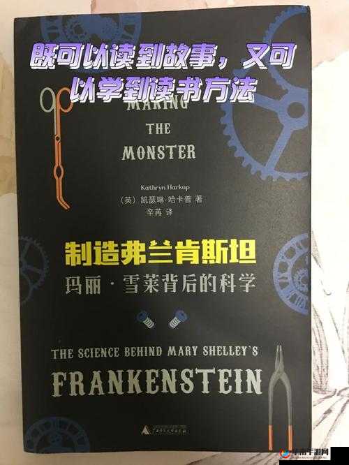 在火车上和后妈妈在一起的是谁：探寻背后的故事