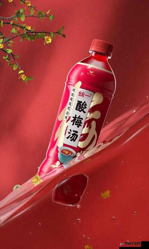 《飨灵好感度解析：酸梅汤的偏好食物》