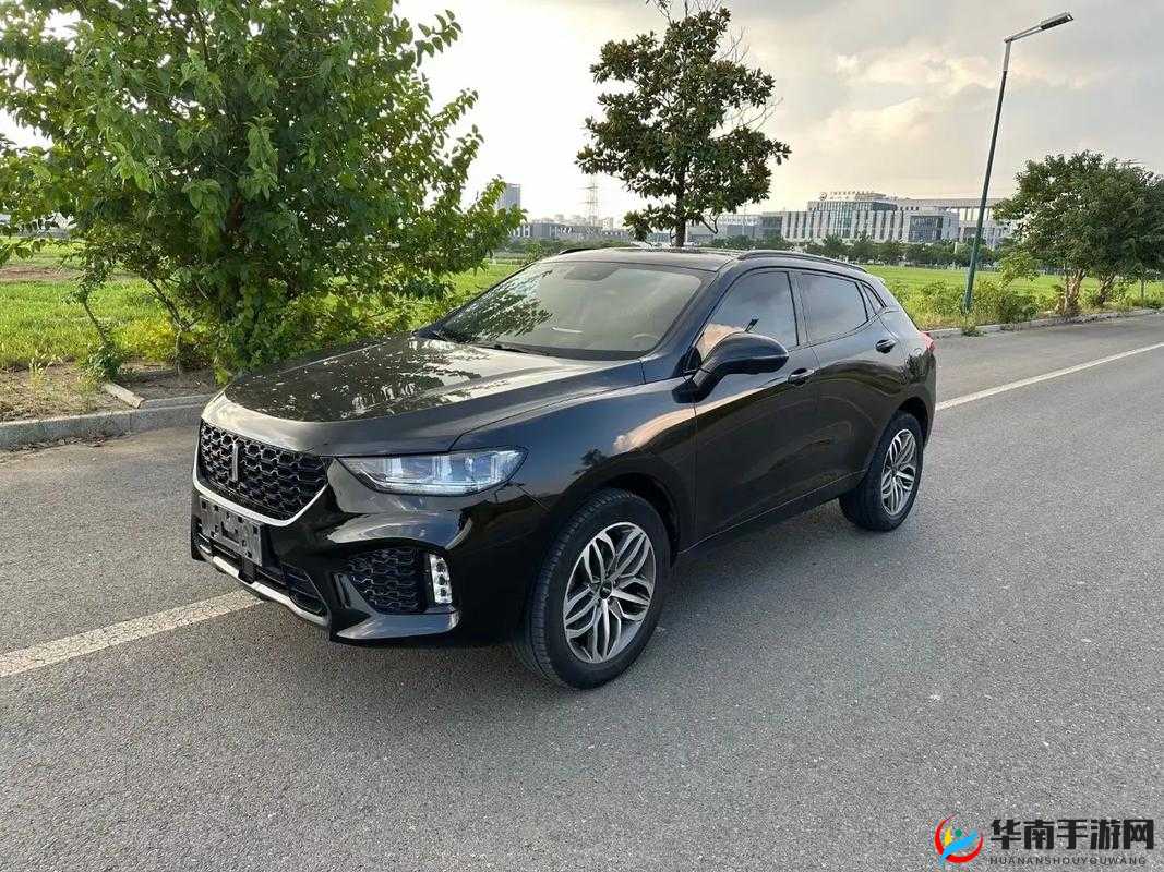 WEYVV5 国产 SUV 性能如何：深度剖析