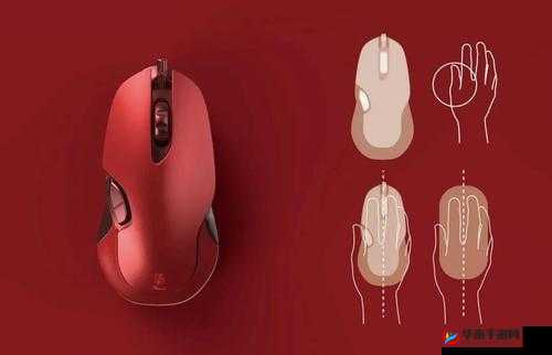 人曾交互 mouse 放：一种独特现象
