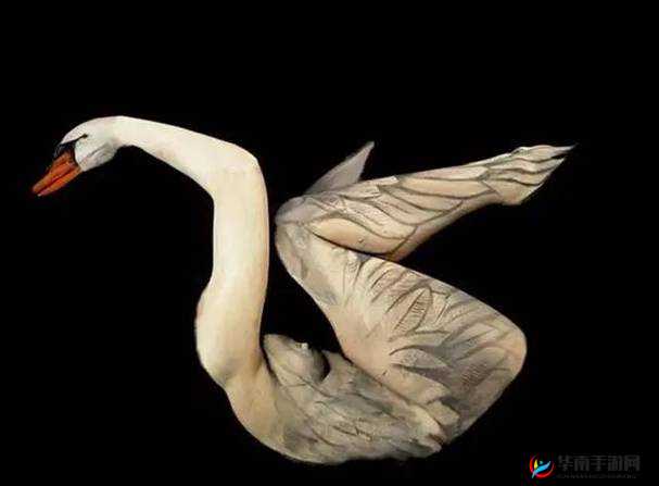 GOGOGO 大但人文艺术：探索艺术之美