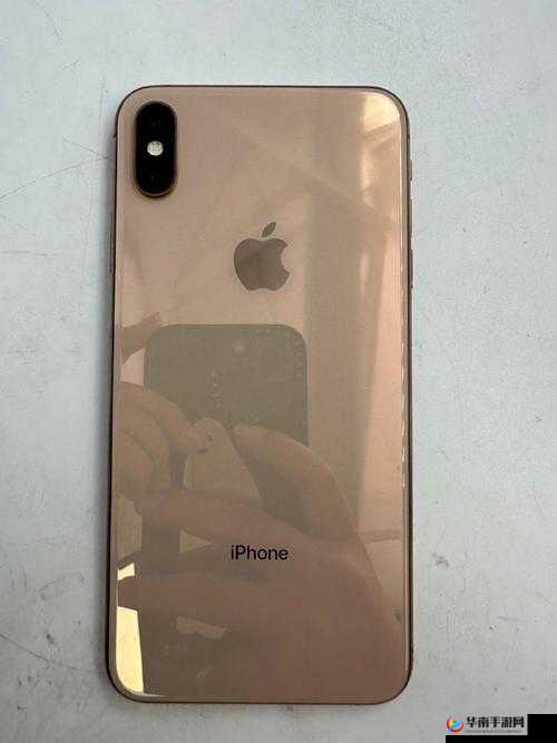 XSMAX 国产：独具魅力的手机之选