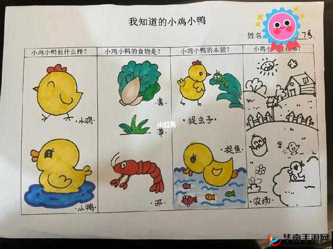 我里小鸡硬邦邦：揭秘这个网络热梗的背后故事