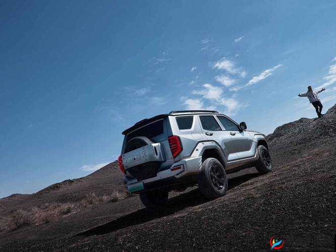 成色好 p31s 品质卓越性能强劲