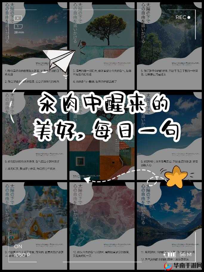 每天醒来都在汆肉中：不一样的体验