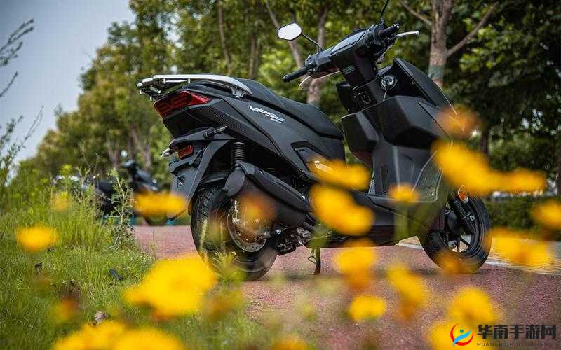 VPSWINDOWS 另类极品：极致体验，不可错过