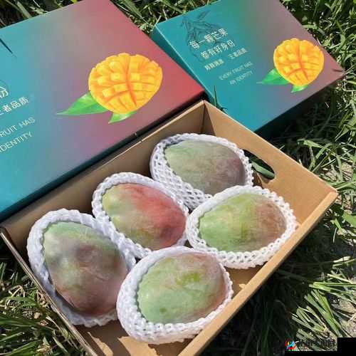 日产精品一线二线三线芒果：品质之选水果精品