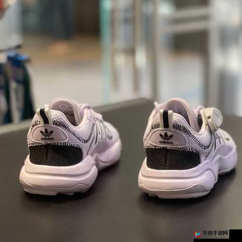 三叶草 gw1155 的独特魅力