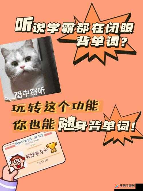 坐在学霸的鸡上背单词双楠：努力提升自我