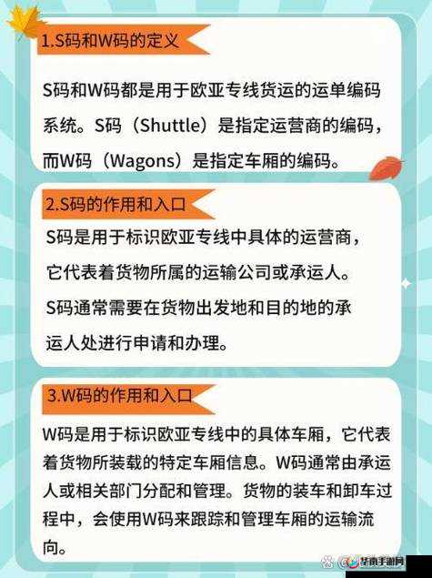 欧亚专线 S 码和 W 码入口一样吗：有何区别