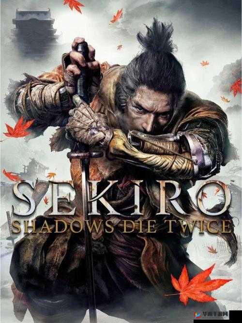 《只狼：影逝度》小矮人与重藏胖子的斗笠战术攻略