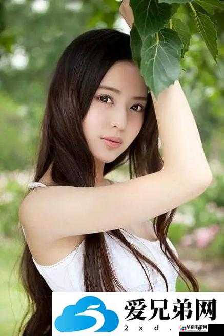 国精产品 WNW2544A：引领行业发展的卓越之选