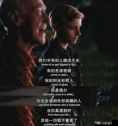 黯淡：从拒绝到接受的故事