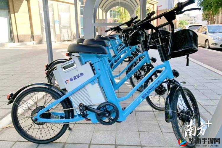 YINGDAN 小镇公交车尺寸多样化揭秘详情