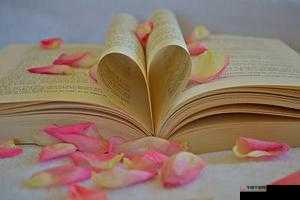 获得超级胬肉系统小说：开启传奇之旅