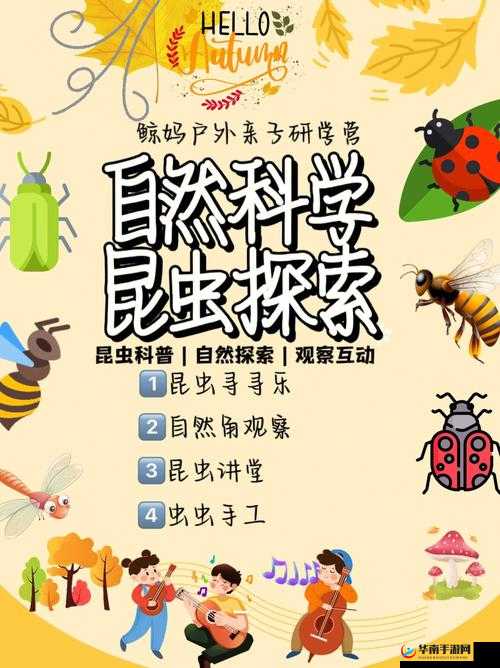 户外 FSS 任务网站：探索自然的冒险之旅