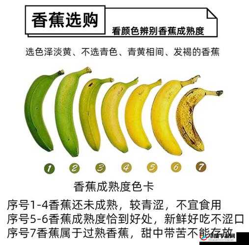 香蕉直甜还是弯甜：哪种更甜呢