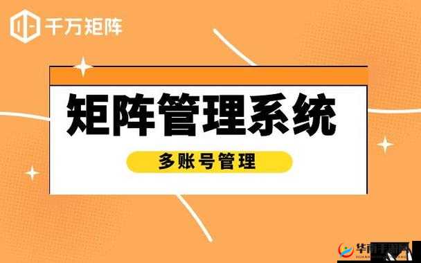 揭秘成品网站源码入口隐藏通道：背后的秘密