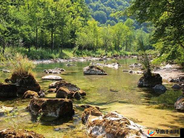 亚洲无人区码一码二码三码：独特的自然景观和生态环境