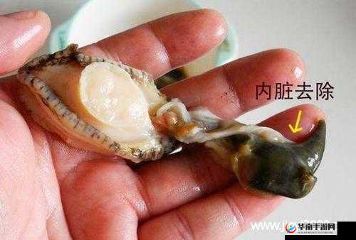 吃鲍鱼能不能喝牛奶：二者有何关联