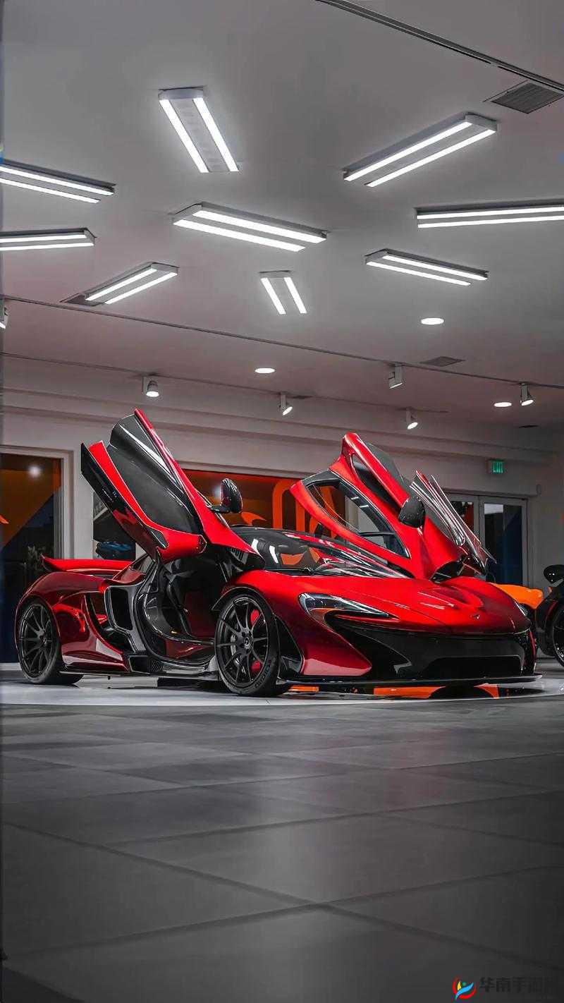 一起草：超越想象的奇妙体验