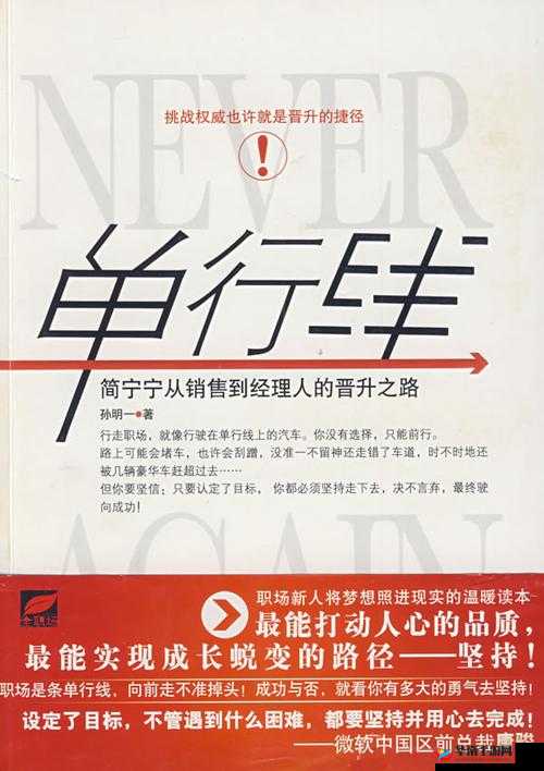 大圣西游升级攻略：疾速晋升之路