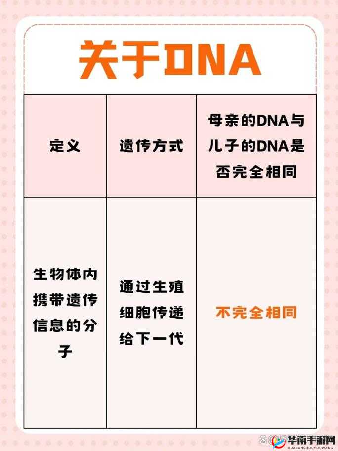 母亲与儿子 DNA 是否一样
