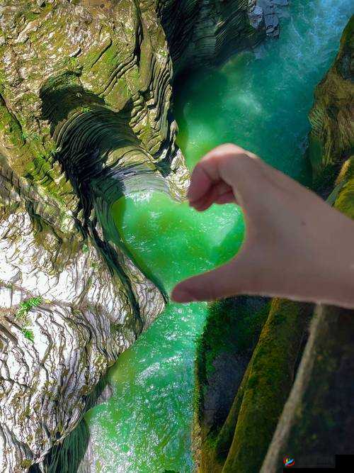 仙踪林 Company Limited19：探寻神秘之境