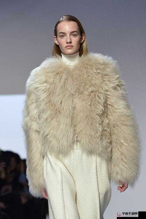 AAAA 级毛皮：纯还是仿？探讨其品质属性