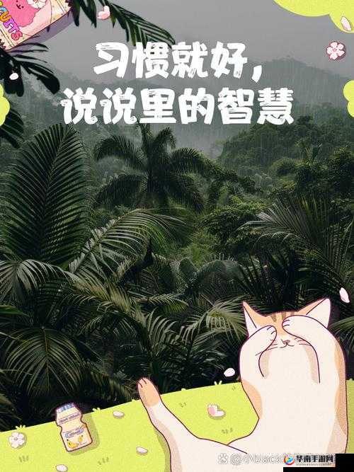 出租房里的交互高康张睿：奇妙故事待开启