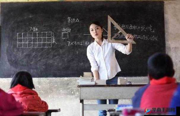 肉食教师食取报告 1：探究教育背后的真相