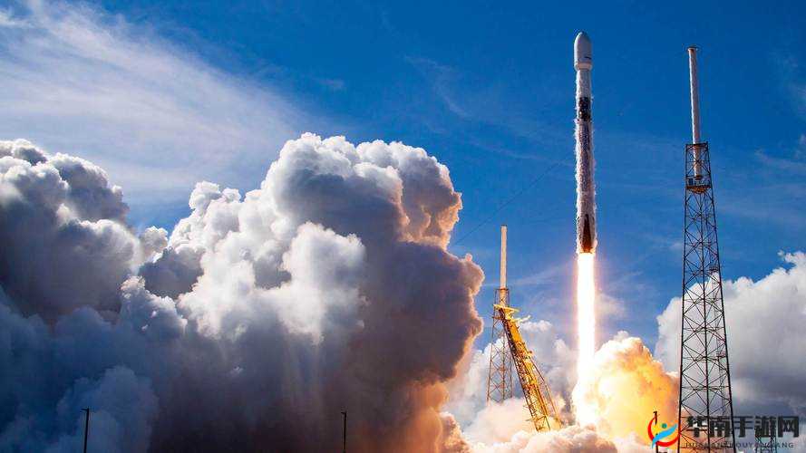 塔塔大作战攻略：飞天导弹鸡阵容搭配与实战技巧